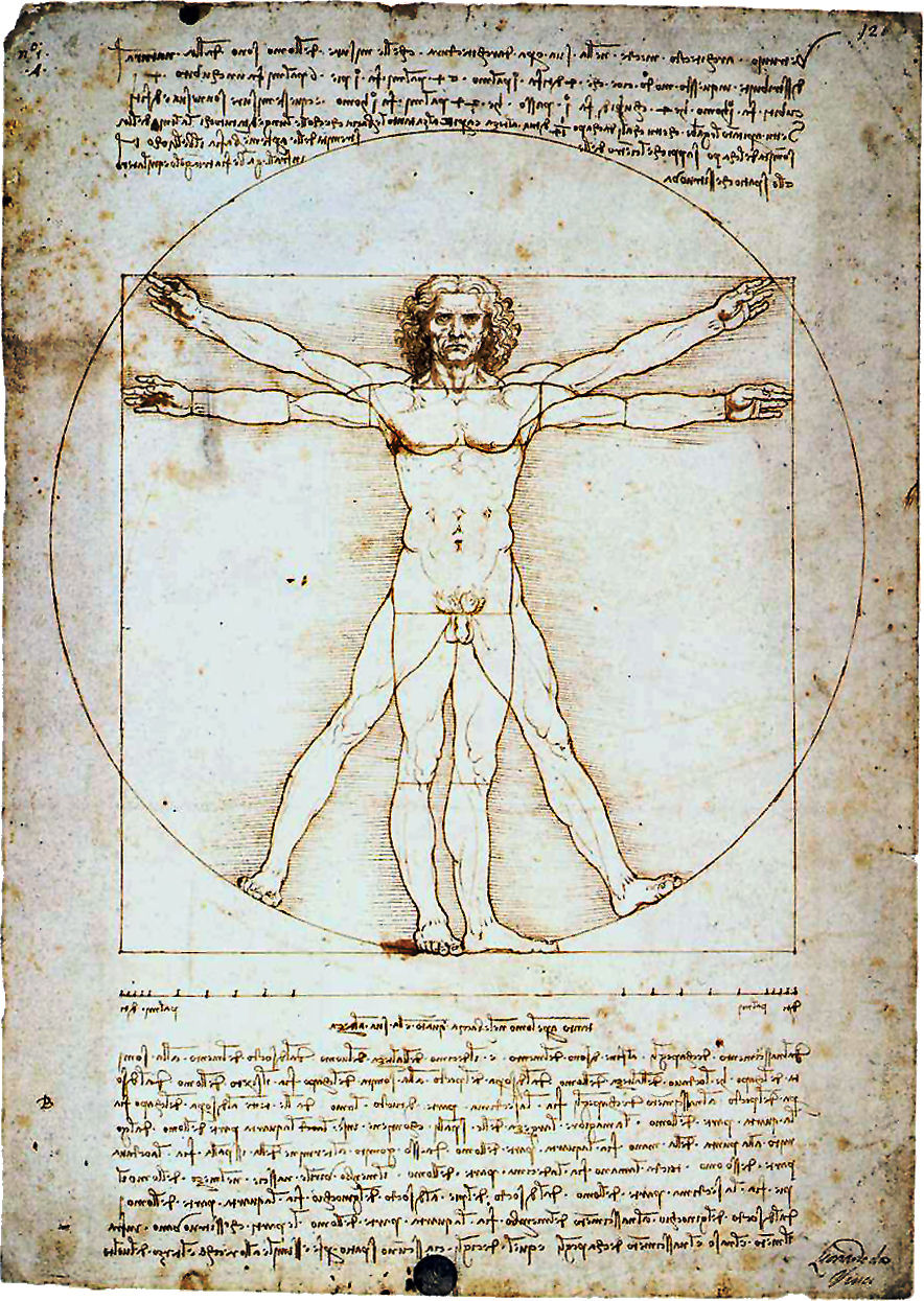 Michelangelo Quotes About Leonardo Da Vinci